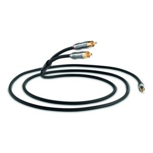 QED PERFORMANCE AUDIO J2P 3.5Mm Jack To Two Phono Interconnect